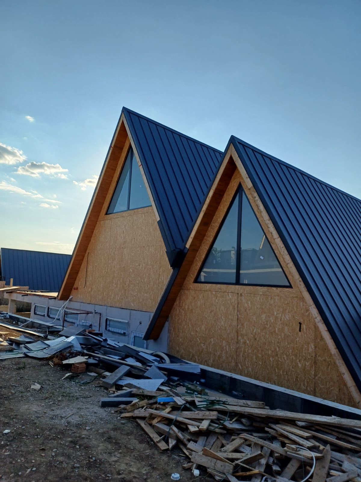 Renovare Completă Vila Pipera